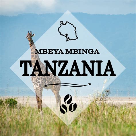 Tanzania Mbeya Mbinga - Light - Medium Roast - Strigo Coffee