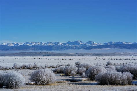 Winter in Pinedale Photograph by Julieta Belmont | Fine Art America