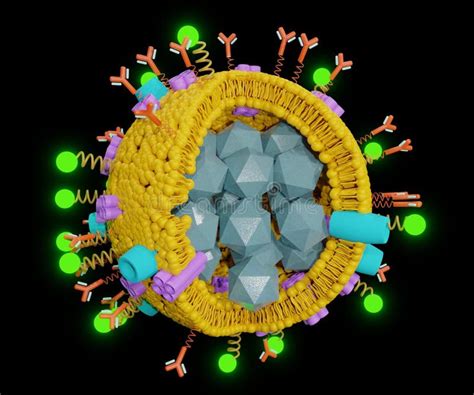 Properties of Liposome Nanoparticles for Drug Delivery Stock ...