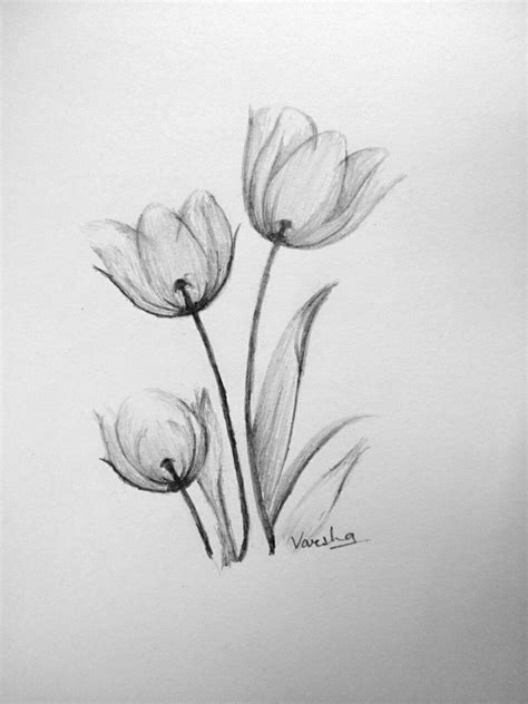 Easy flower shading || pencil shading techniques | Flower drawing, Easy ...