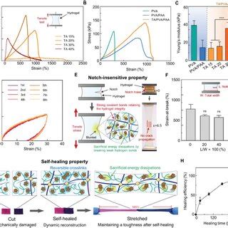 Mechanical durability of the hydrogel. A) Tensile test for the ...