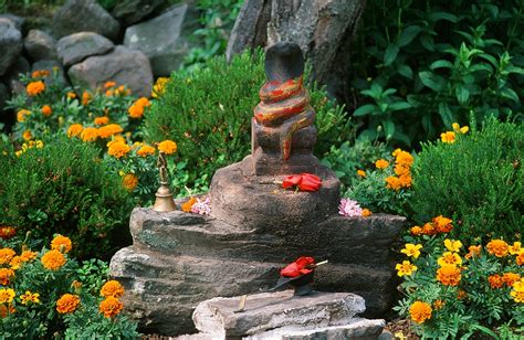 Six Steps to Create Your Sanctuary Garden by Denise Schwab ...