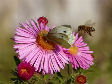 Pin auf Gartengestaltung