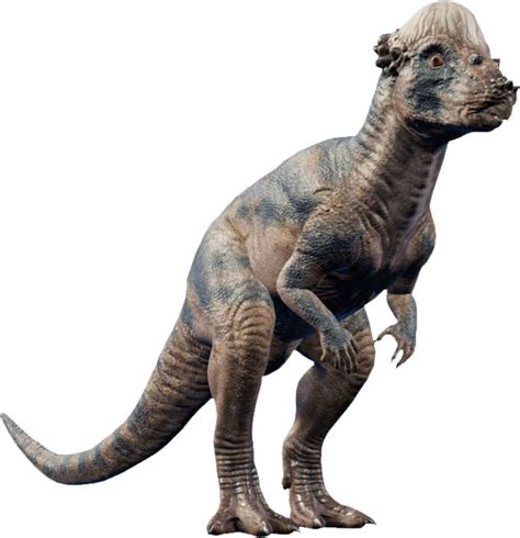 Pachycephalosaurus. | Jurassic world dinosaurs, Dinosaur, Jurassic park ...