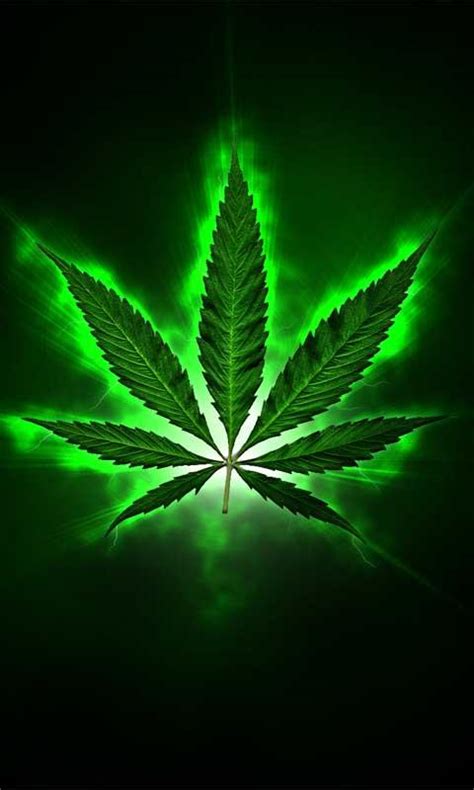 Marijuana Leaf Wallpaper - WallpaperSafari