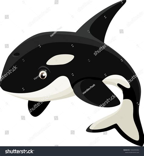 4,335 imágenes de Orca cartoon - Imágenes, fotos y vectores de stock ...