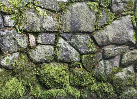 20+ Stone Wall Textures | Wall texture design, Stone wall texture ...