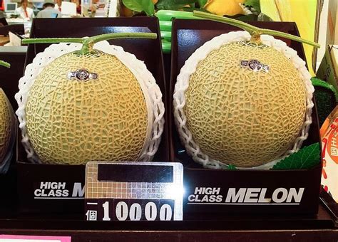 What are the most expensive fruits in Japan?