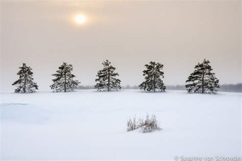 Winter Photography, Sun Dogs, Winter Morning, Sunrise, Snow, Winter ...