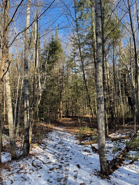 Hike This: Logan Creek Trails - Door County Pulse