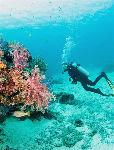 Khao Lak Liveaboard Diving