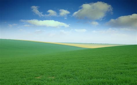 🔥 Free download 1920x1200 Green Field desktop PC and Mac wallpaper ...