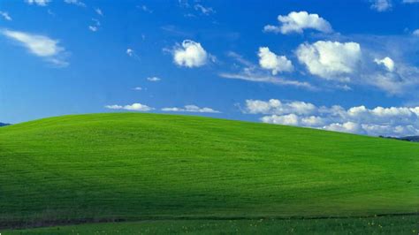 Iconic Windows XP background is photo of Sonoma County hillside - ABC7 ...