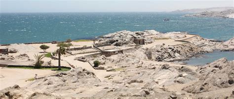 shark island namibia | Shark, Shark facts, Island