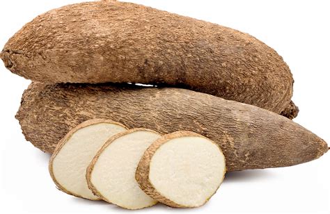 West African Yams Information and Facts