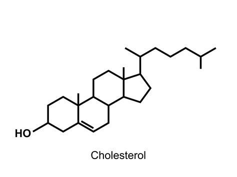 Cholesterol ter discussie – Antroposofisch Gezondheidscentrum