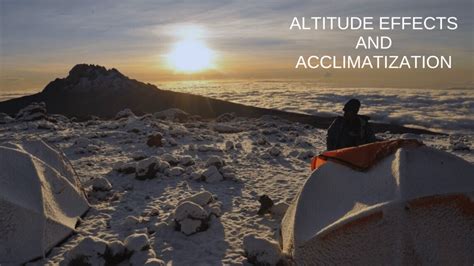 11 facts Climbing Mount Kilimanjaro in 2023 | Go2africarooftop