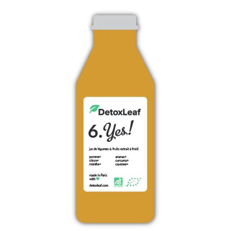 Jus Detox Yes! 500 ml – DetoxLeaf