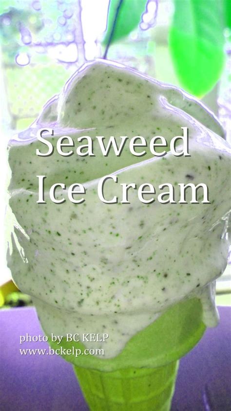 Seaweed and Ice Cream | Seaweed, Weird food, Ice cream