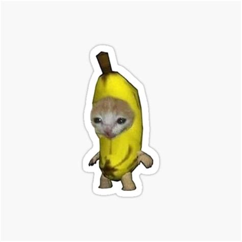 Banana Cat Meme | ubicaciondepersonas.cdmx.gob.mx