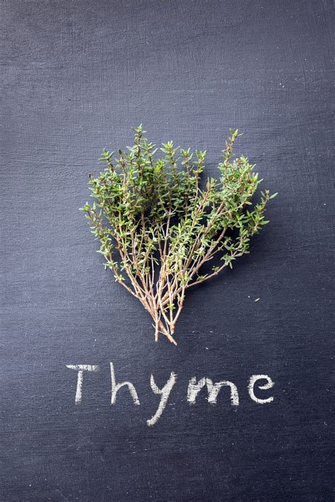 How to Grow Thyme. The Important Stuff at a Glance