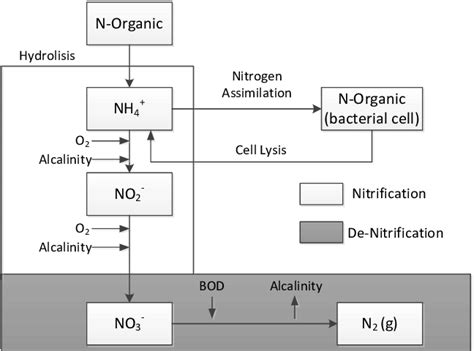 Nitrification -De-nitrification process scheme | Download Scientific ...