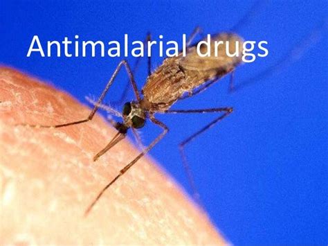 Antimalarial drugs