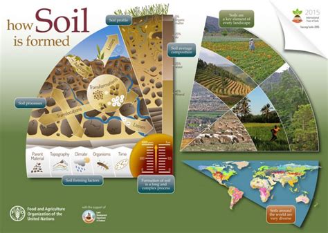 Digging Up the Dirt: How Soils Form - Brewminate: A Bold Blend of News ...