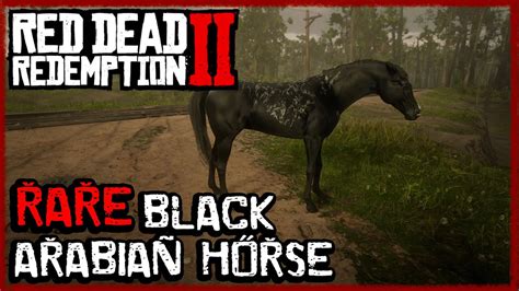 Red Dead Redemption 2 Get Rare Black Arabian Horse In Chapter 2 For ...