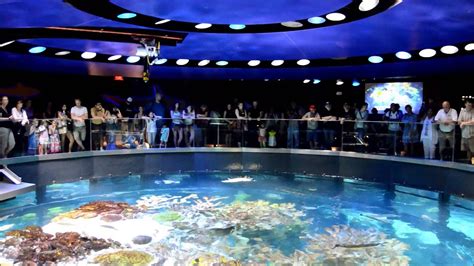 Where Is The Boston Aquarium Located - Aquarium Views