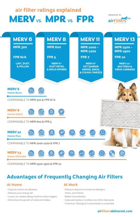 MERV, MPR and FPR Rating Systems | Merv, Infographic, Pet dander