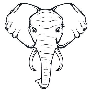 Discover more than 83 elephant face sketch best - seven.edu.vn