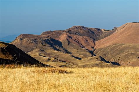 Highveld Grasslands | One Earth