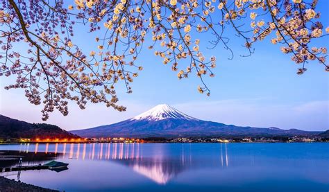 Where To Stay During Cherry Blossom Season In Japan - HotelsCombined ...