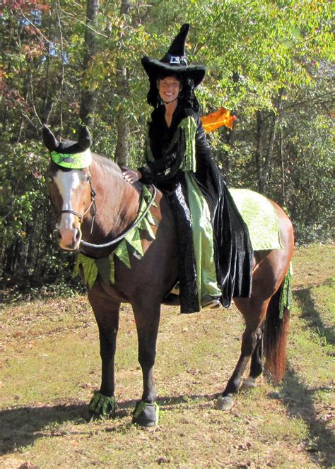 Check out some great horse costume ideas, and try out a tasty horse ...