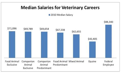 What You Need to Know About Being a Veterinarian | Veterinarian ...