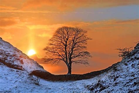 Sunset at Sycamore Gap, Hadrian’s Wall, Northumberland, England Winter ...