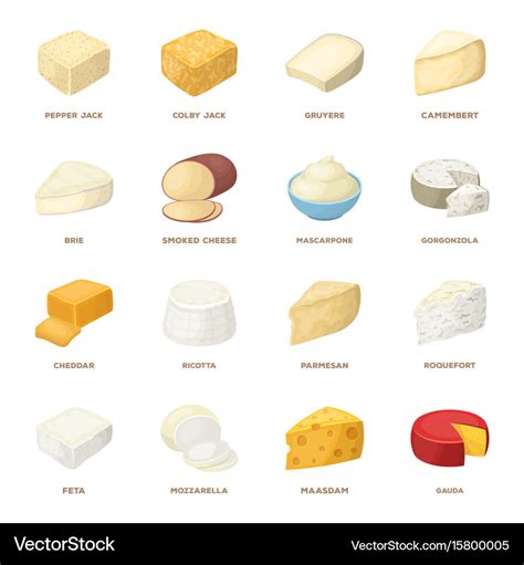 Different types of cheese types Royalty Free Vector Image