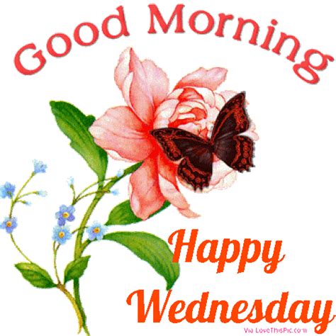 Good Morning Happy Wednesday Butterfly Gif Pictures, Photos, and Images ...