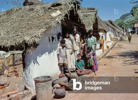 Image of Village life in village in Tamil Nadu, South India (photo)