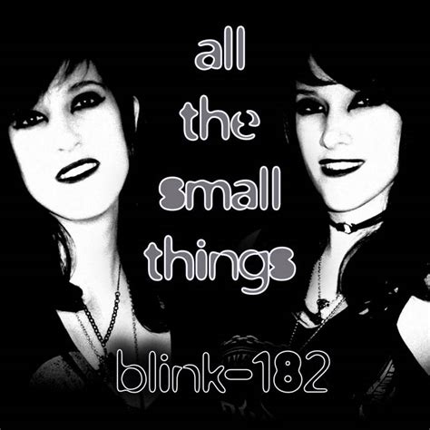 All The Small Things (blink-182 Cover) | Venom & Mayhem / blink-182 ...