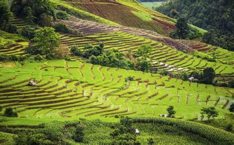 Chiang Mai Itinerary - Thailand Hilltribe Holidays