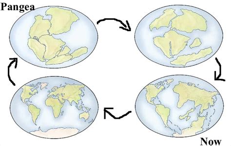 Continental Drift Theory By Alfred Wegener