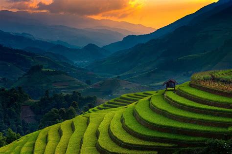 landscape Nature Rice Paddy Terraces Mountain Sunset Field in 2019 ...