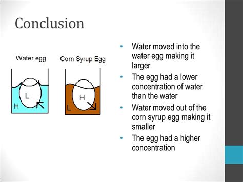 Egg osmosis experiment Shera 8-16