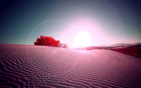 HD Colorful Desert Sun Wallpaper | Download Free - 61598