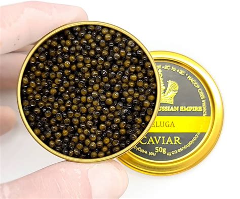 Beluga Caviar XL (size) - Caviar House of Bangkok