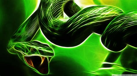 Green Snake Wallpapers - Wallpaper Cave