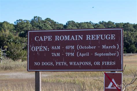 Cape Romain National Wildlife Refuge, SC – Sylvie's Adventures