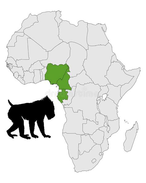 Mandrill Habitat Distribution and Habitat Loss - Primates Park